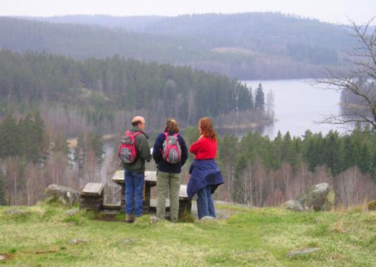 Björkfors Kajak&Hostel Exteriör bild